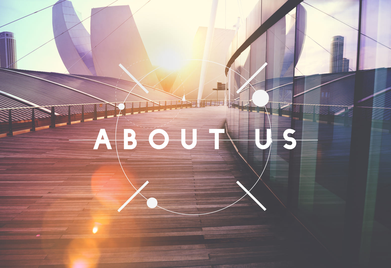 Professional washing and cleaning your car